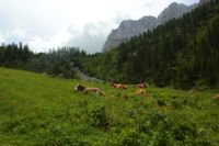 2015-06-25_03Gramaijoch (102).JPG
